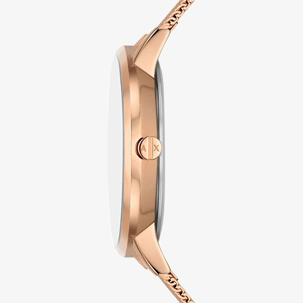 AX5617 Analogue Watch in Two Tone 